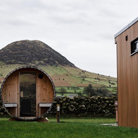Вилла Slemish Hideaway - Funky Pheasant Broughshane Экстерьер фото